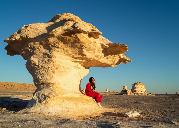 White Desert