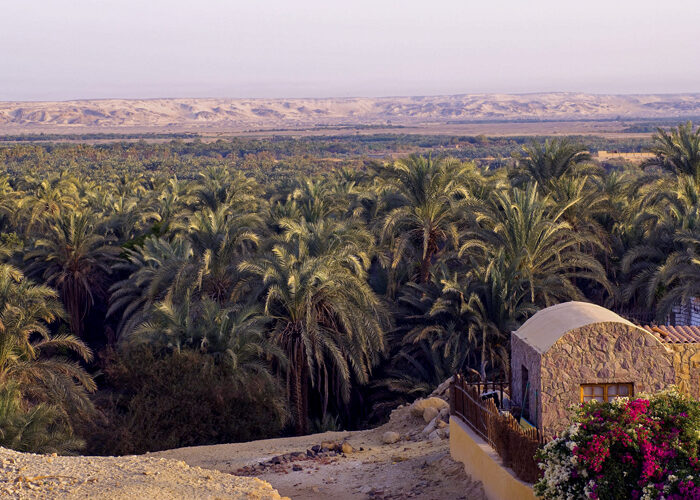 Bahariya Oasis