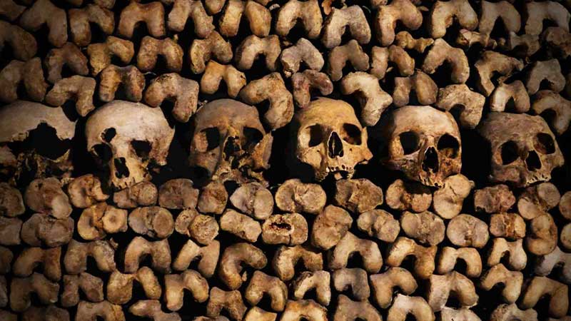 A picture of the skulls of the tombs of Kom el Shoqafa