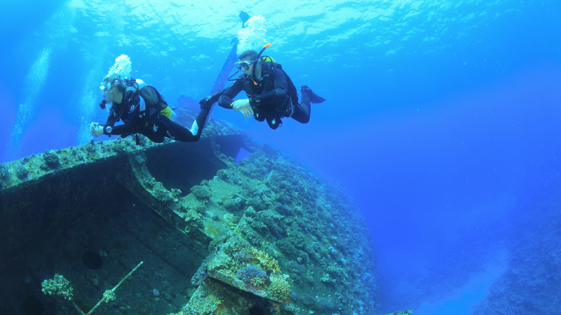 Snorkeling in The Red Sea